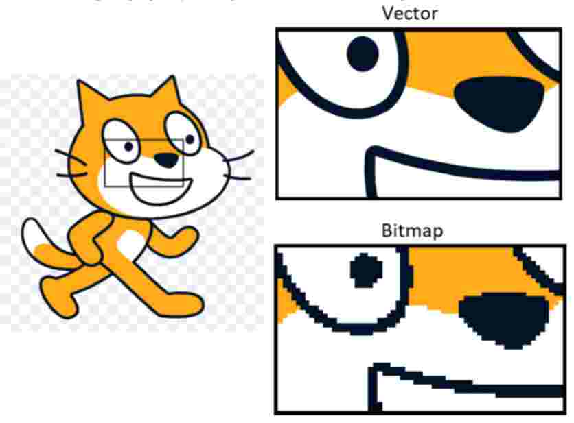Vector vs. Bitmap