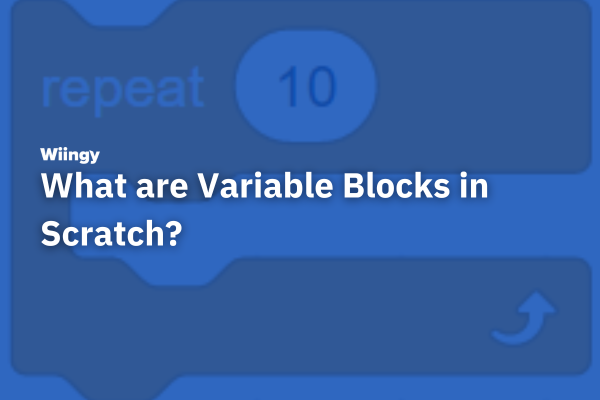 What are Variable Blocks in Scratch?