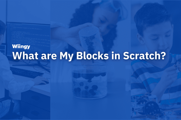 What are My Blocks in Scratch?