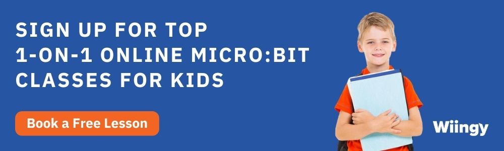 Get 1-on-1 online Microbit classes