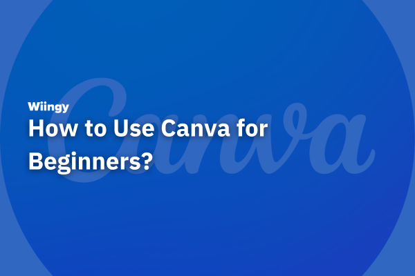 How to Use Canva for Beginners?