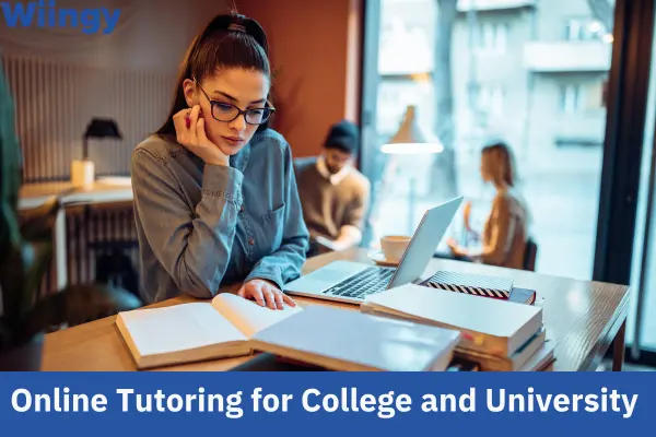 Online-tutoring-for-college-and-university