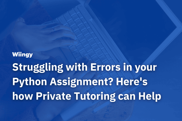 Struggling with Errors in your Python Assignment? Here’s How Private Tutoring can Help