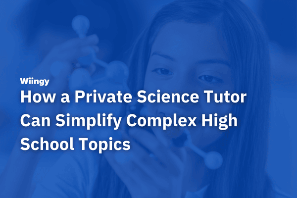 How a Private Science Tutor Can Simplify Complex High School Topics